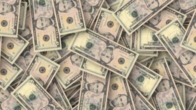 Wealth management advisor