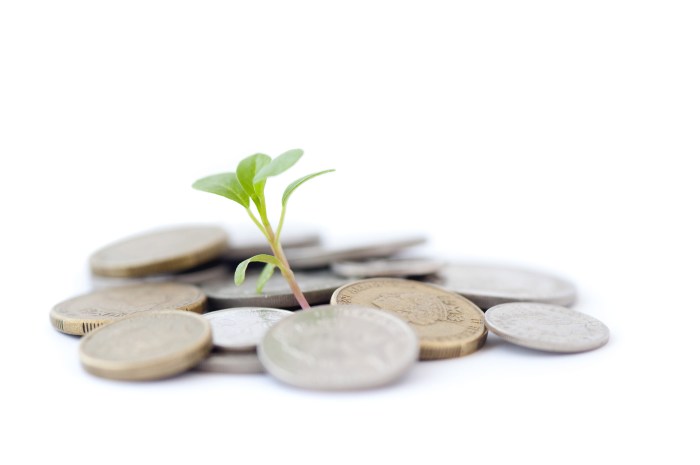 Free Stock Photo 4974 savings growth | freeimageslive Investment planning