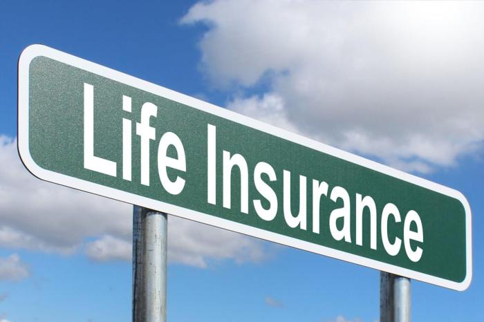 Life Insurance - Free of Charge Creative Commons Green Highway sign image Insurance claim assistance