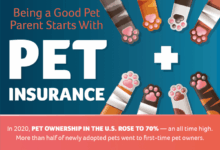 Pet insurance