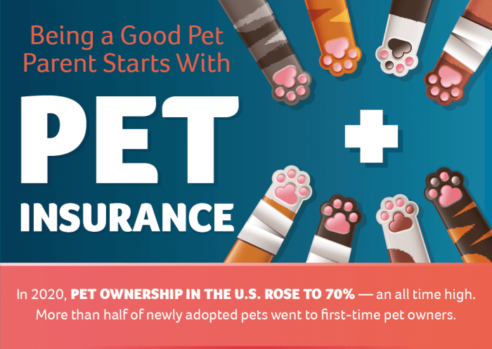 Pet insurance