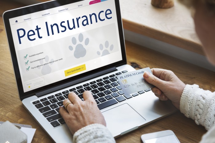 Pet insurance